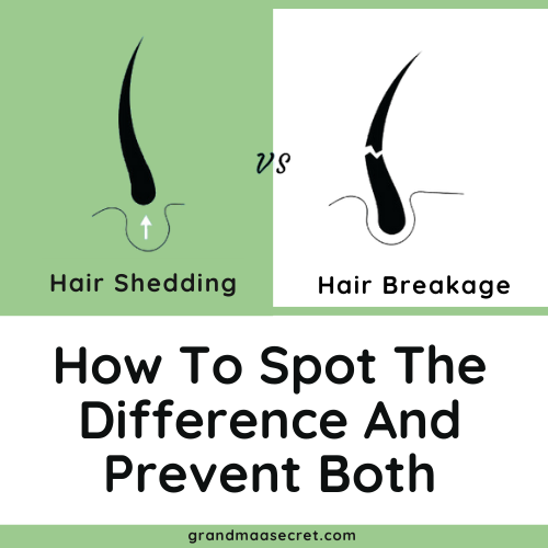 Hair Shedding vs. Hair Breakage: How to Spot the Difference and Preven