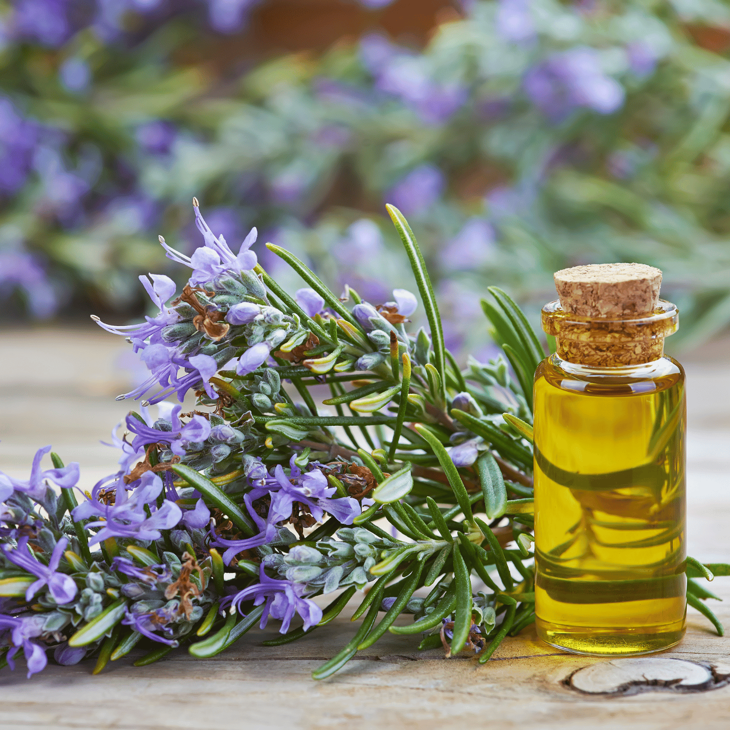 rosemary essential oil for hair smoothness